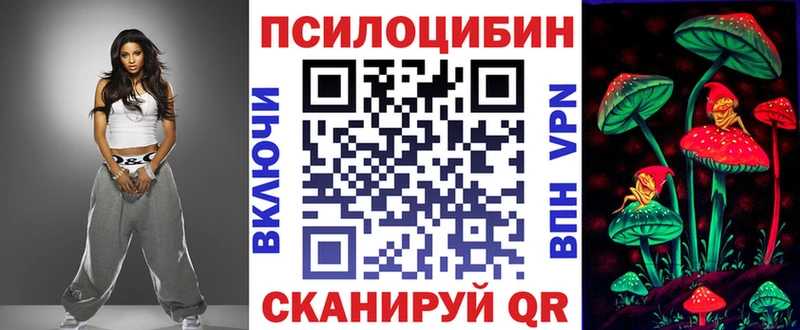Купить где  Гусь-Хрустальный  Галлюциногенные грибы Psilocybine cubensis 